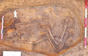 O descoperire rară în Neamț: Mormânt cu o vechime de 4.500 de ani, găsit pe traseul autostrăzii A8