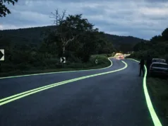 Drumurile care strălucesc în întuneric din Malaezia păreau inovația perfectă. Apoi au intervenit experții contabili drumuri care strălucesc în întuneric