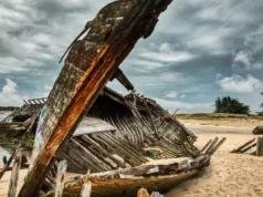 Măiestrie din 1631: cuiele de lemn ale epavei Fame au rezistat 400 de ani sub nisip Fame