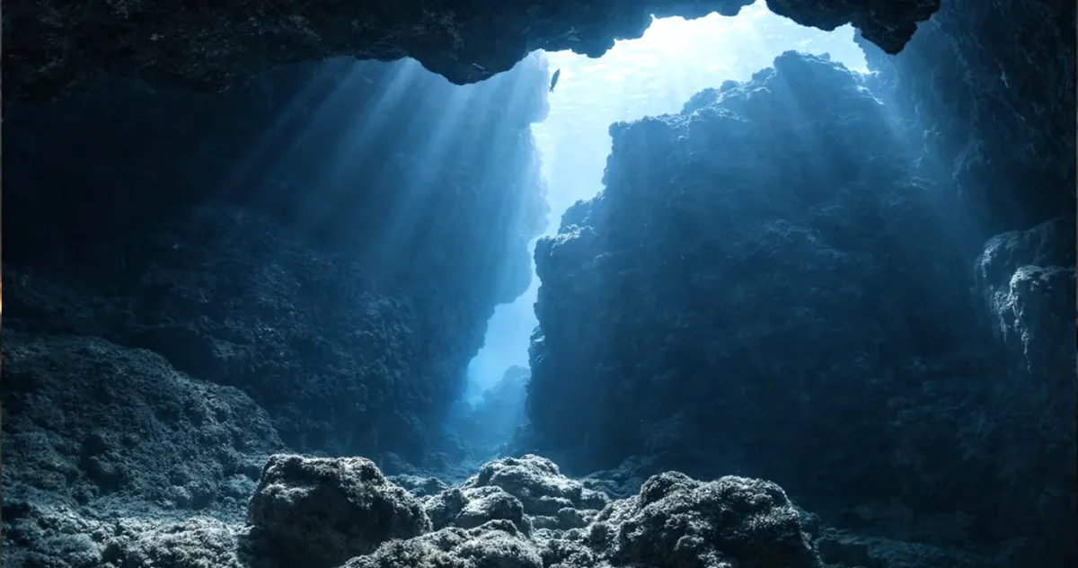 alge vechi de 7.000 de ani