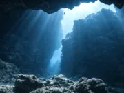 240 de metri sub Marea Baltică: metoda prin care oamenii de știință au readus la viață organisme marine vechi de 7.000 de ani alge vechi de 7.000 de ani