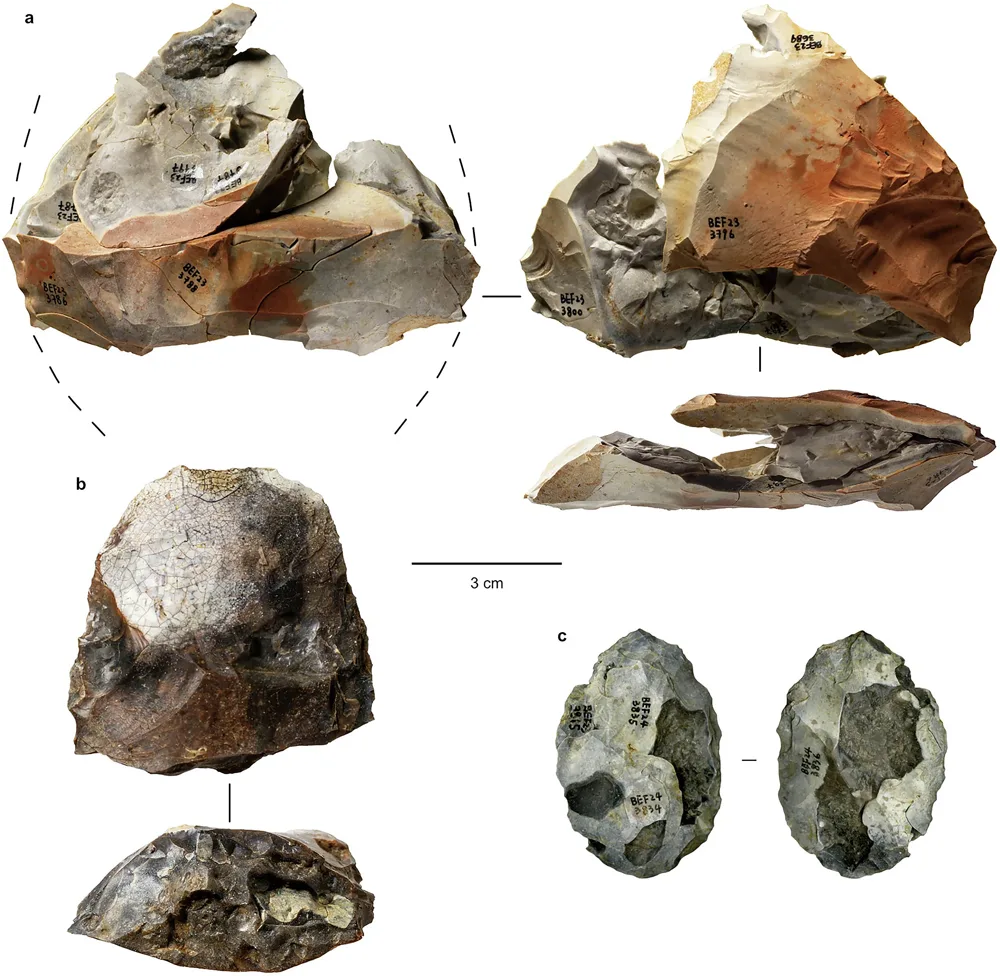 Topoare de mână sparte sub efectul căldurii, provenite de la Barnham, ca dovadă a controlului focului de către oamenii preistorici. (A) Partea centrală a unui topor de mână spart sub efectul căldurii, împreună cu 25 de fragmente de reasamblare, descoperite într-o zonă restrânsă (cu diametrul de 35 cm) din Zona I Est. (B) Partea superioară a unui topor de mână spart sub efectul căldurii, provenit din Zona I Est. (C) Topor de mână alterat termic, provenit din Zona I Est. Sursa: Nature