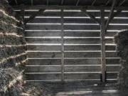 comoară din Epoca Bronzului