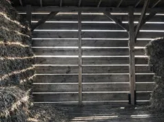 Un bărbat a descoperit o piatră când își renova hambarul, care s-a dovedit a fi o comoară din Epoca Bronzului comoară din Epoca Bronzului