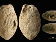 originea agriculturii