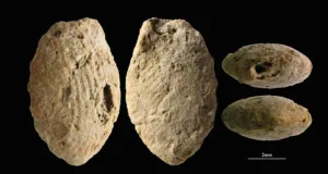 originea agriculturii