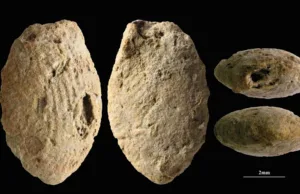 Cultura natufiană: mărgele de lut de acum 15.000 de ani arată cum a apărut agricultura în mintea umană originea agriculturii