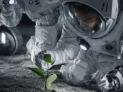 Cercetătorii au crescut cu succes năut în sol lunar simulat