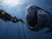 Cercetătorii studiază proteina de reparare a ADN-ului care ar putea prelungi viața oamenilor la 200 de ani