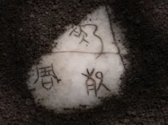 Studiu: Analiza a 55.000 de oase antice arată că taifunurile au prăbușit dinastia Shang