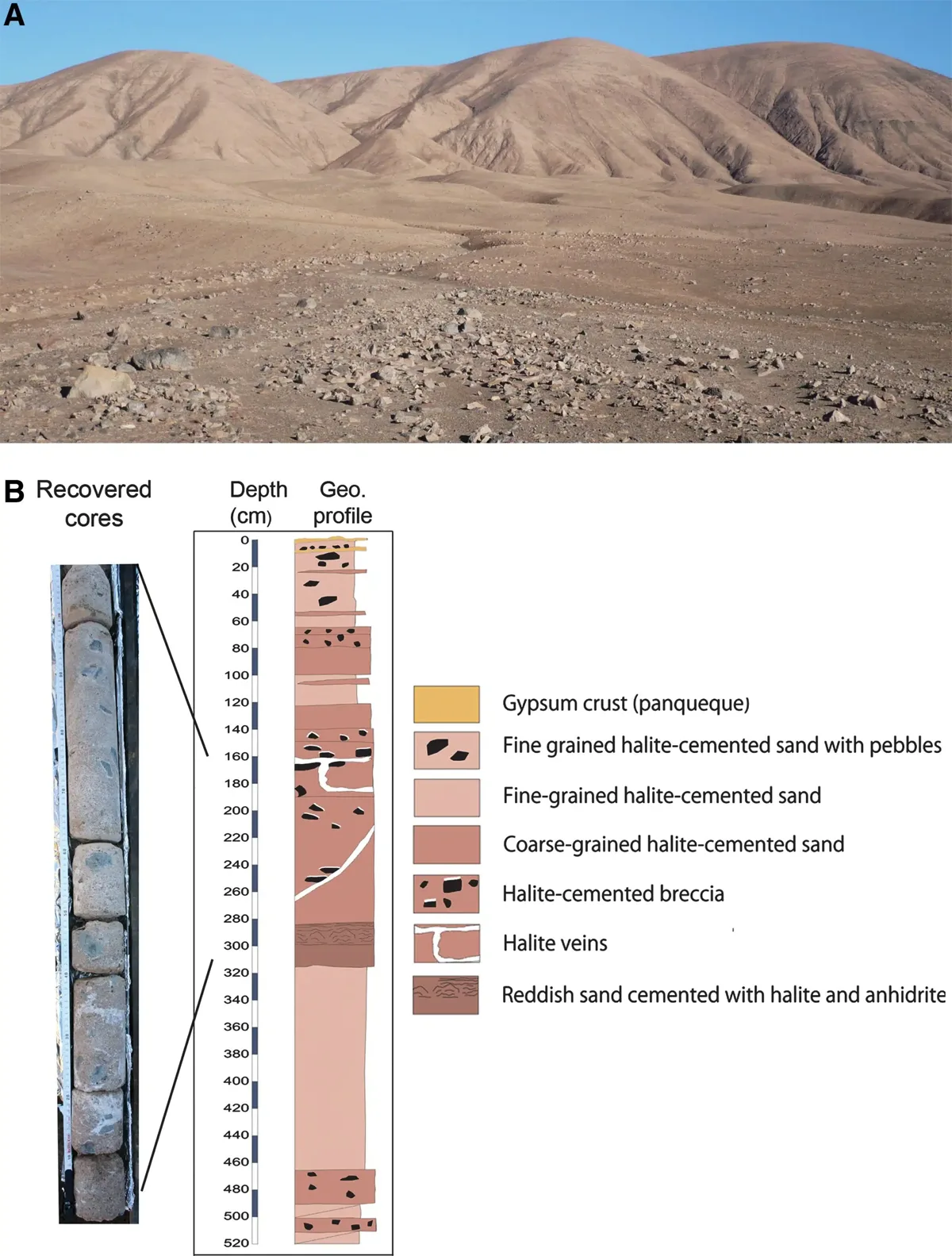 oaza deşertul atacama