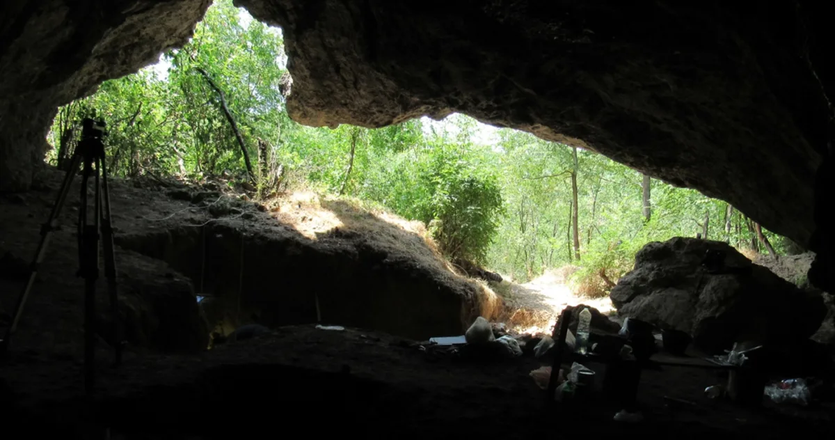 de ce au dispărut neanderthalienii