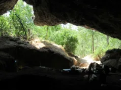 „O schimbare majoră”: Acum 65.000 de ani, toți neanderthalienii din Europa au dispărut, cu excepția unei singure ramuri de ce au dispărut neanderthalienii