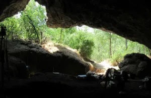 „O schimbare majoră”: Acum 65.000 de ani, toți neanderthalienii din Europa au dispărut, cu excepția unei singure ramuri de ce au dispărut neanderthalienii