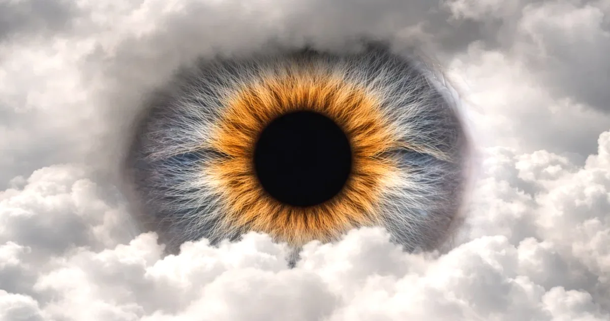 efectele psilocibinei asupra creierului