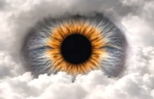 Substanțele psihedelice dezvăluie o realitate mai autentică prin ruperea tiparelor de gândire, arată studiile efectele psilocibinei asupra creierului