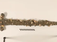 Un student norocos a găsit o a doua sabie de cruciat în timp ce înota: iată ce a dezvăluit scanarea CT sub crusta marină Un student norocos a găsit o a doua sabie de cruciat în timp ce înota