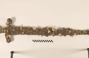 Un student norocos a găsit o a doua sabie de cruciat în timp ce înota: iată ce a dezvăluit scanarea CT sub crusta marină Un student norocos a găsit o a doua sabie de cruciat în timp ce înota