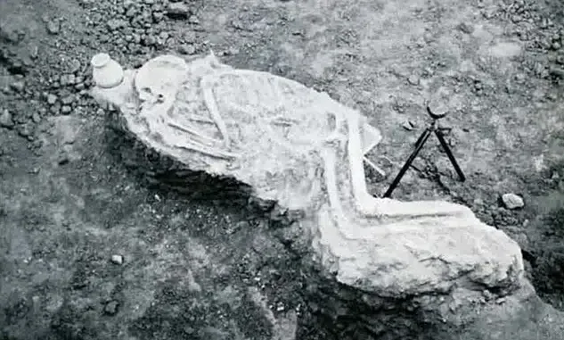 Schelet descoperit în timpul săpăturilor arheologice de la Tell Fara