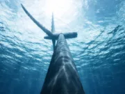 centre de date AI în turbine eoliene