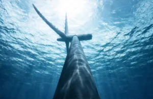 Turbinele eoliene aveau o singură sarcină. Acum, vor găzdui centrele de date AI fără de care viața modernă nu poate funcționa centre de date AI în turbine eoliene