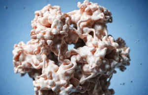 Studiu pe 900.000 de femei: vaccinul HPV previne cancerul de col uterin vreme de zeci de ani Studiu eficiență vaccinul HPV pentru prevenire cancer col uterin