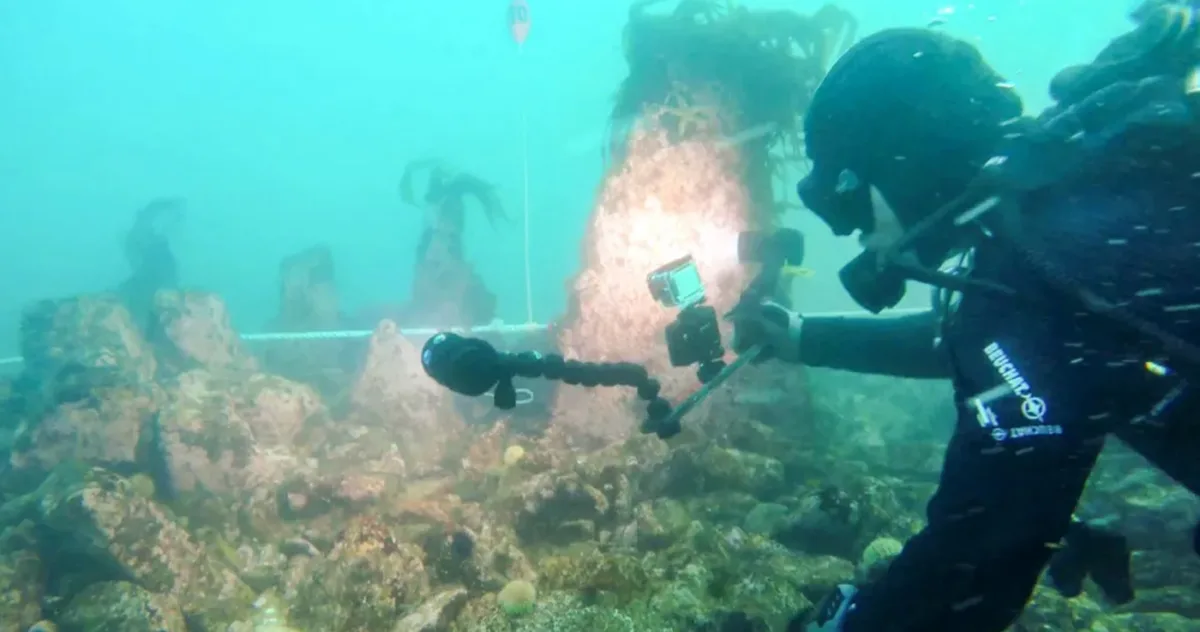 zid subacvatic vechi de 7.000 de ani