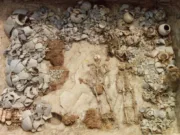 Familii întregi, sacrificate pentru elită: Un studiu genetic dezvăluie o latură sumbră a Coreei antice sacrificii umane Coreea antică