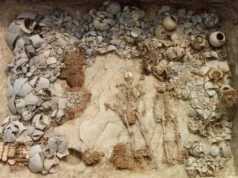 Familii întregi, sacrificate pentru elită: Un studiu genetic dezvăluie o latură sumbră a Coreei antice sacrificii umane Coreea antică