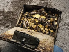 În timpul renovării unei vile, un instalator a descoperit monede de aur de 2,4 milioane de dolari comoară monede aur Viena