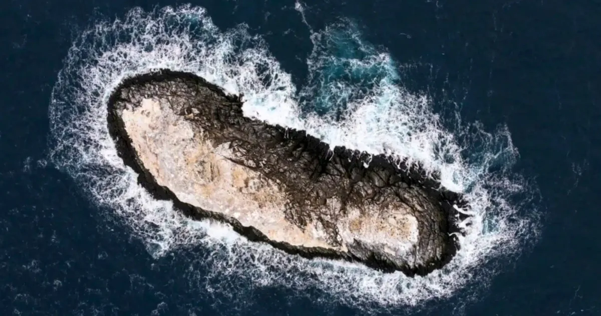 O insulă antarctică necartografiată a fost descoperită în zona de pericol din Marea Weddell