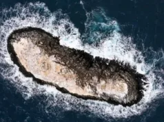 Ascunsă de gheață: cercetătorii au descoperit o insulă necunoscută în timp ce se adăposteau de o furtună în Antarctica O insulă antarctică necartografiată a fost descoperită în zona de pericol din Marea Weddell