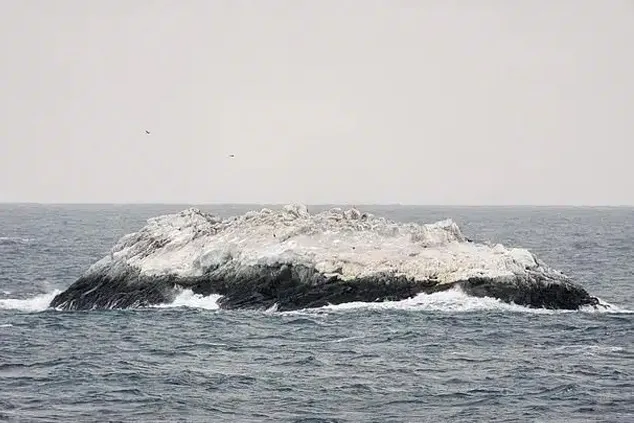 insula nouă antarctica