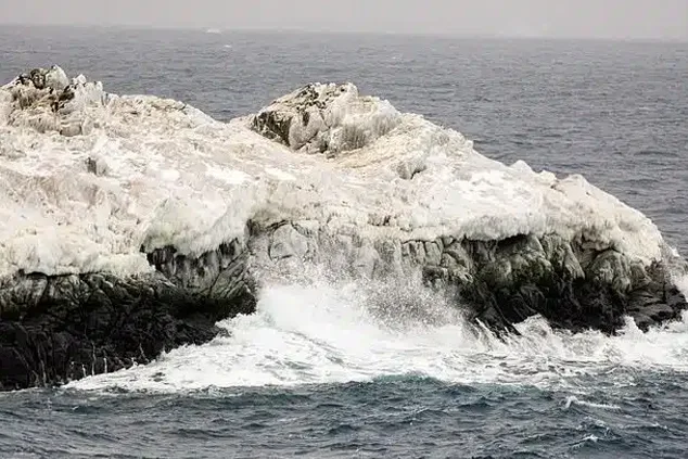 insula nouă antarctica