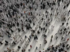 Pământul are 8,3 miliarde de locuitori, dar un nou studiu arată că poate susține durabil doar 2,5 miliarde populația maximă a Pământului