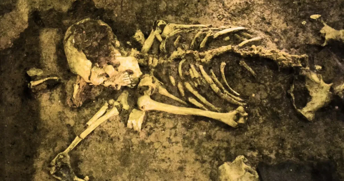 descoperire ADN Sahara