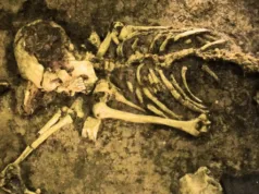 Oamenii de știință au descoperit în Sahara schelete vechi de 7.000 de ani, cu un ADN complet necunoscut descoperire ADN Sahara