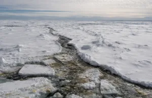 Semnalele radio bizare detectate de NASA sub gheața Antarcticii rămân fără explicație semnale radio Antarctica