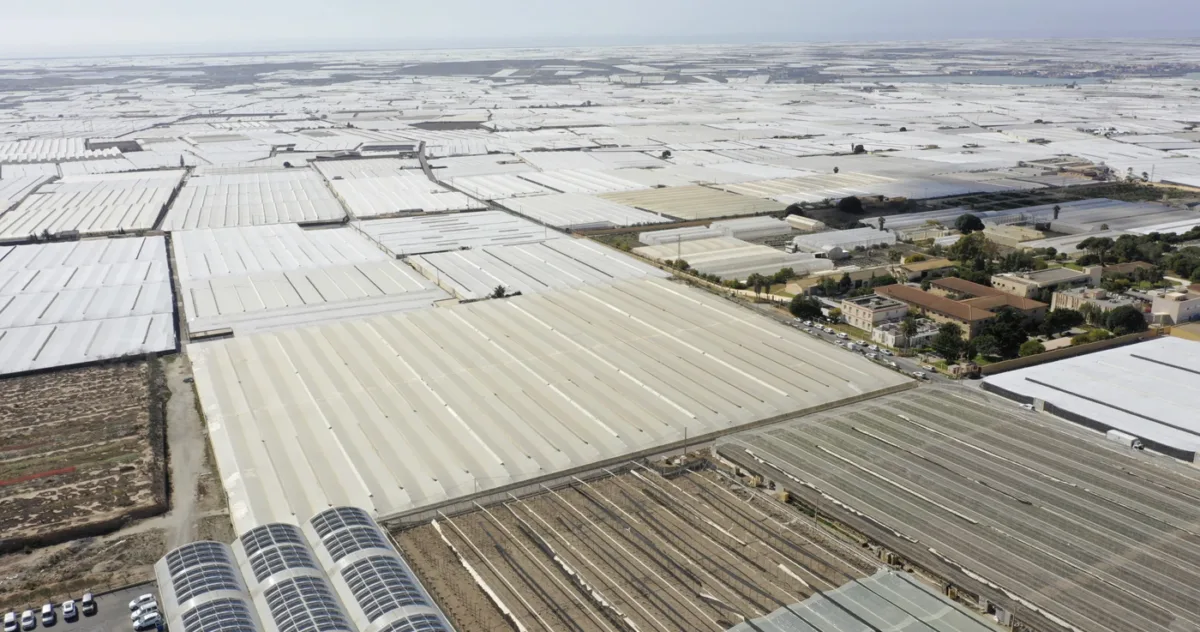 Marea de plastic Spania