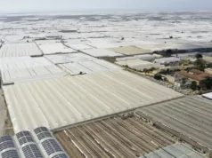 „Marea de plastic”: serele care hrănesc Europa, mai vizibile din spațiu decât Zidul Chinezesc Marea de plastic Spania