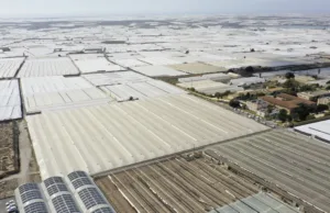 „Marea de plastic”: serele care hrănesc Europa, mai vizibile din spațiu decât Zidul Chinezesc Marea de plastic Spania