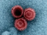 virusuri latente în organism