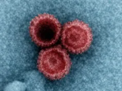 Cercetare Harvard: de ce anumite virusuri se ascund în organismul tău toată viața virusuri latente în organism