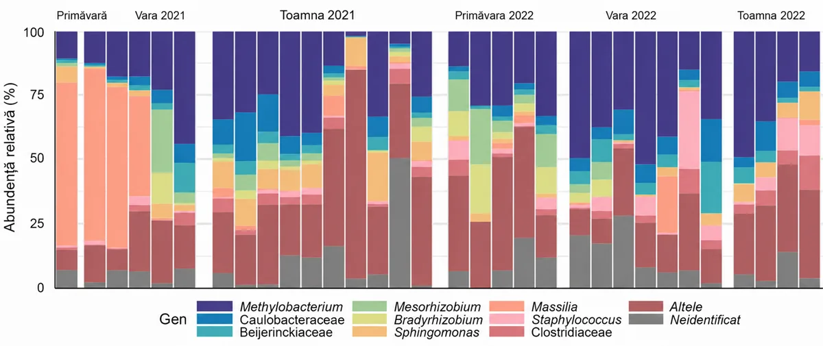 Compoziția comunității bacteriene din apa provenită din ceață