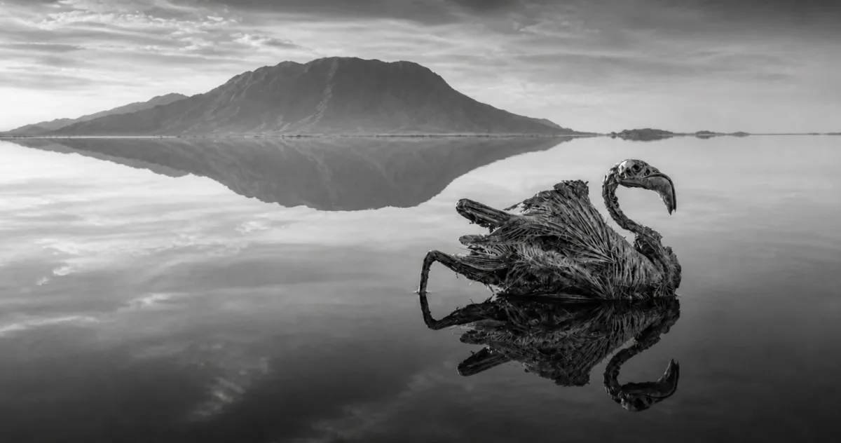 Lacul Natron