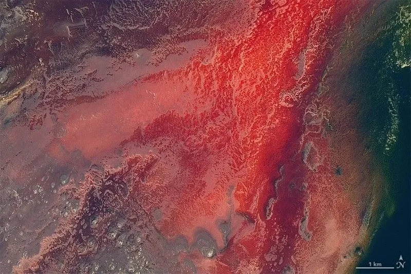 Apa lacul natron