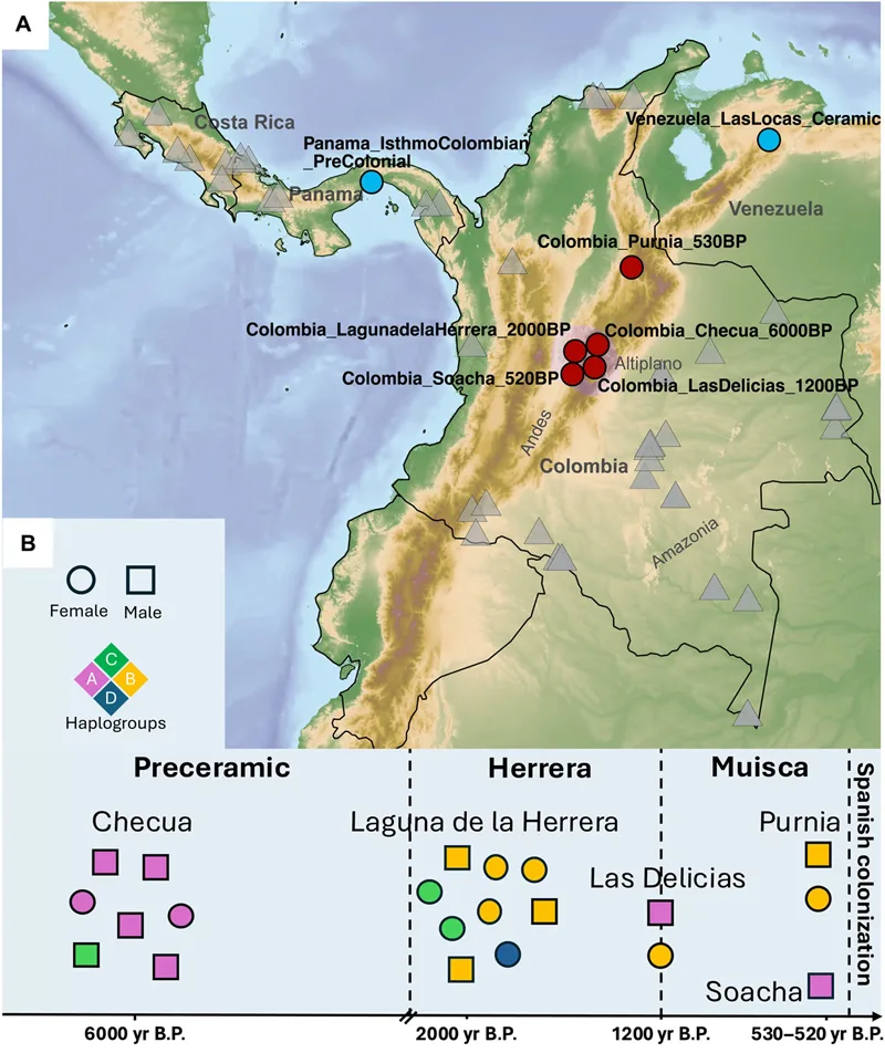 ADN antic Columbia