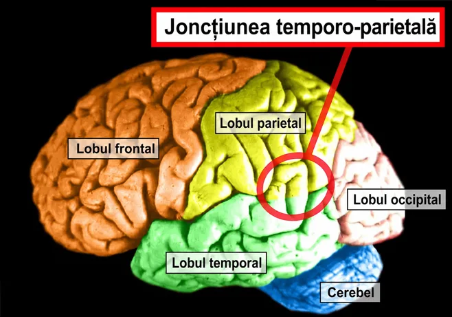Joncțiunea temporoparietală