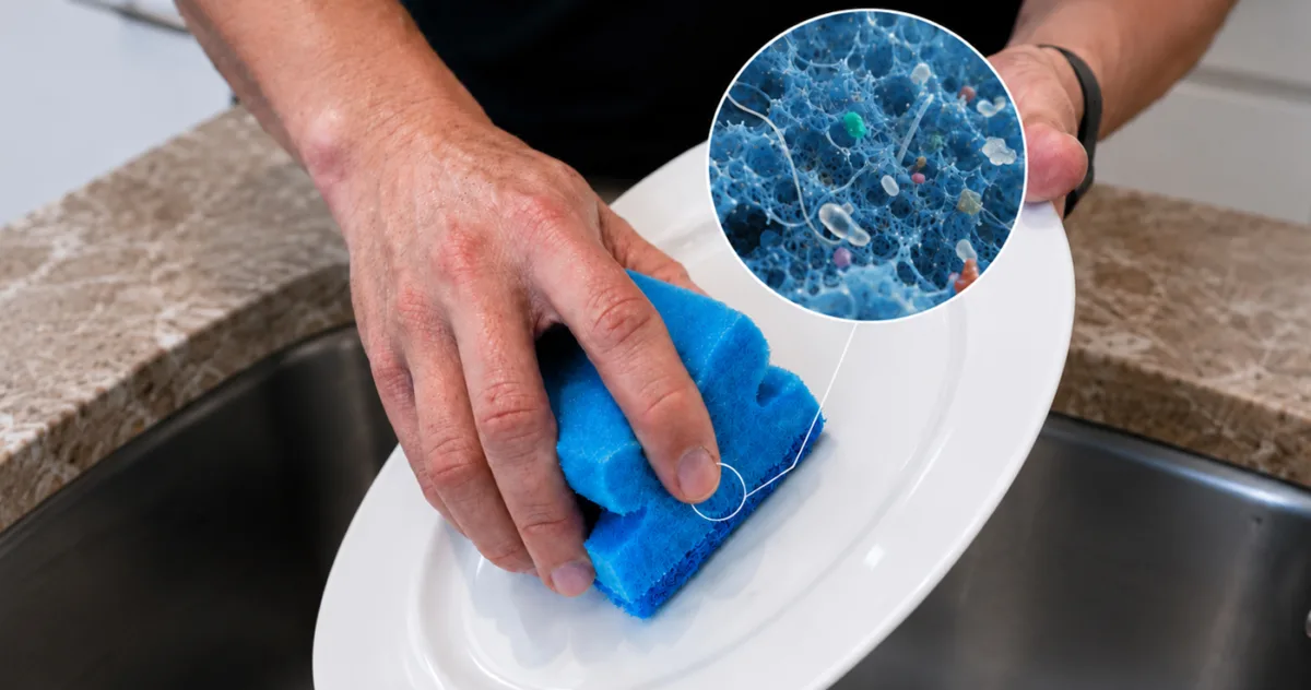 microplastice bureți bucătărie