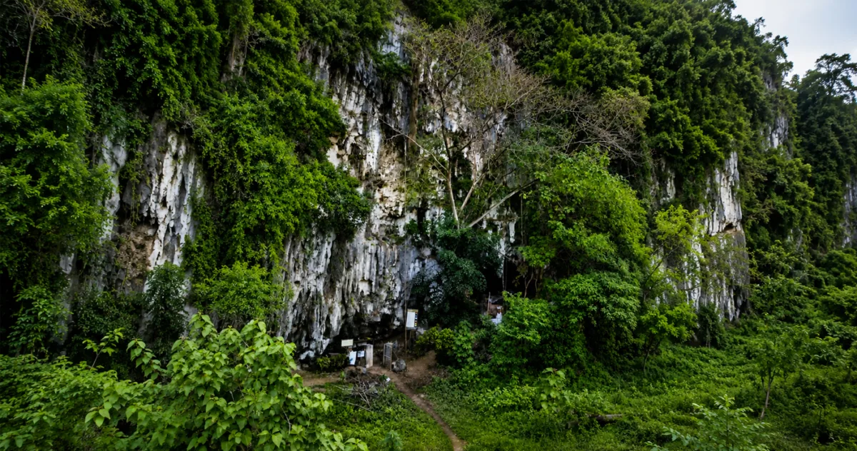 descoperire arheologică Sulawesi